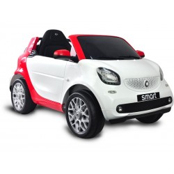 Batterie 6V Smart Funksteuerungswagen | Poolsweb