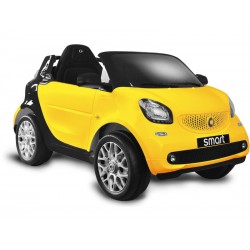 Batterie 6V Smart Funksteuerungswagen