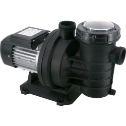 Selbstansaugende Pumpe 0,75 PS PQS S1 PRO