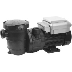 Selbstansaugende Pumpe 1,5 PS PQS VS Variable Geschwindigkeit
